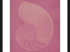 nautilus-shell-anthotype