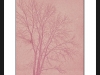 tree_in_snow-anthotype