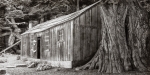 point_lobos_cabin